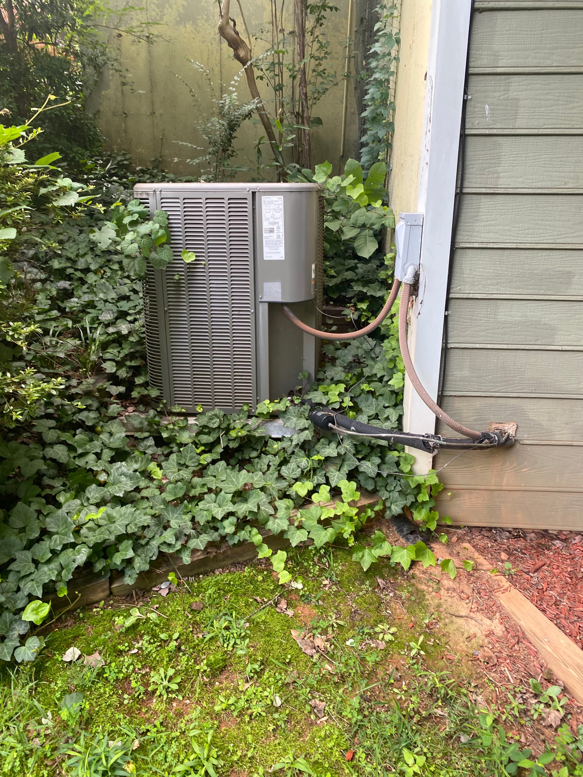 Your AC Can't Breathe If It's Buried in Vegetation