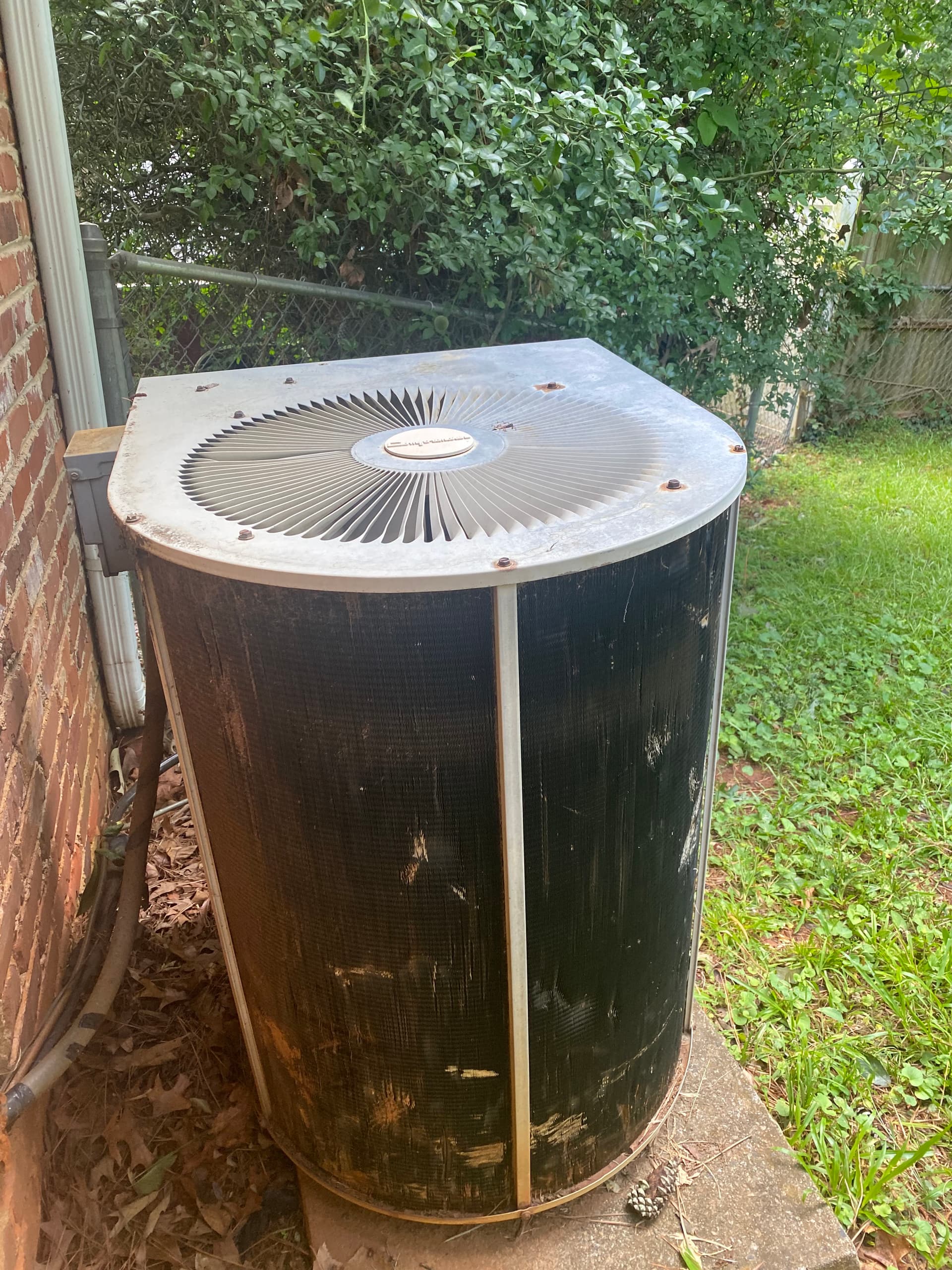 Gallery photos for 35 Years Old and Still Running - But at What Cost?: Image #1