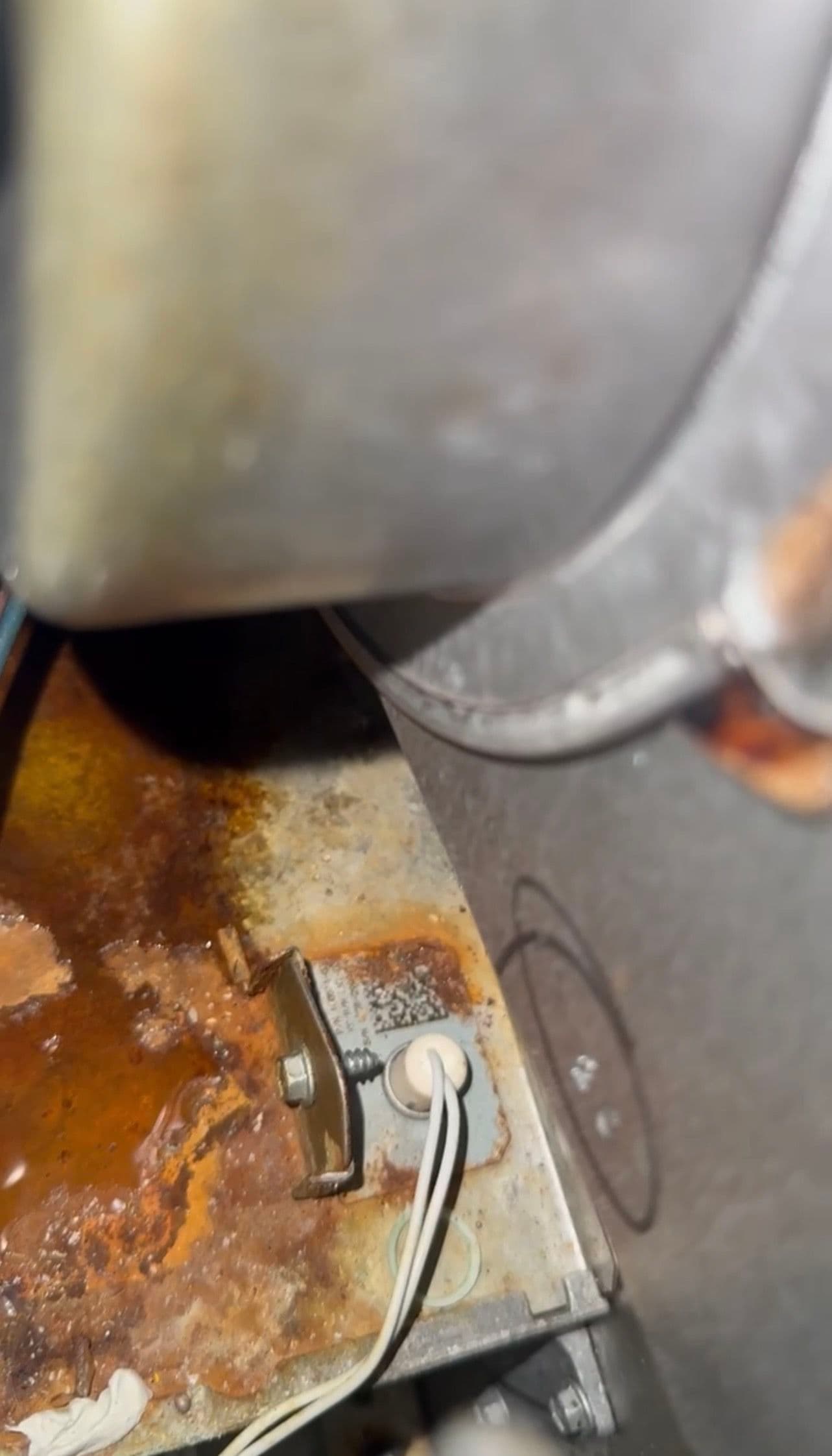 Project What a Clogged AC Drain Line Can Do to Your Home image