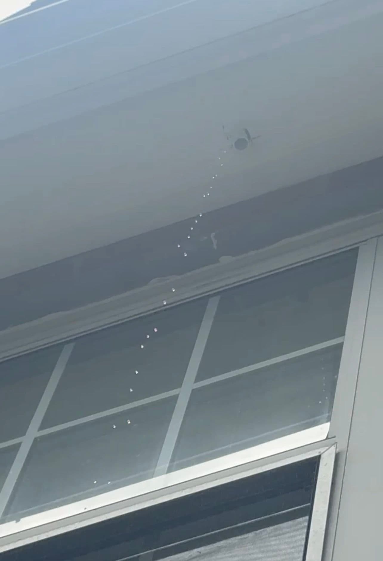 Gallery photos for What a Clogged AC Drain Line Can Do to Your Home: Image #1